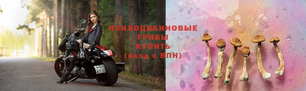 крисы Абинск