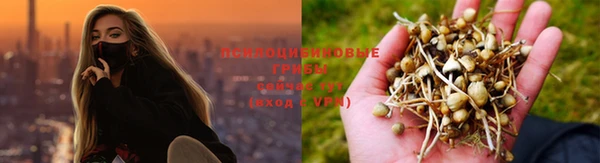 крисы Абинск