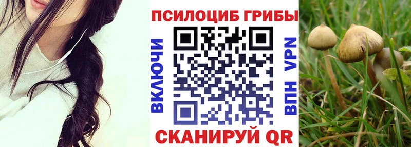 где продают наркотики  Хасавюрт  Псилоцибиновые грибы Magic Shrooms 